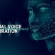 Virtual Voice Virtual Voice