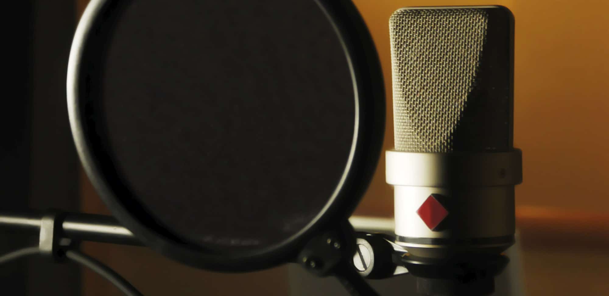 voiceover mic