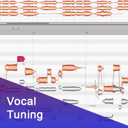 VocalTuning TravSonic Audio Production
