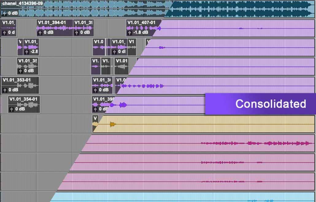 Pro Tools Consolidated FIles
