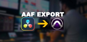 AAF Export 1