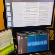 Professional Audio Quality Control (QC) & Technical Auditing